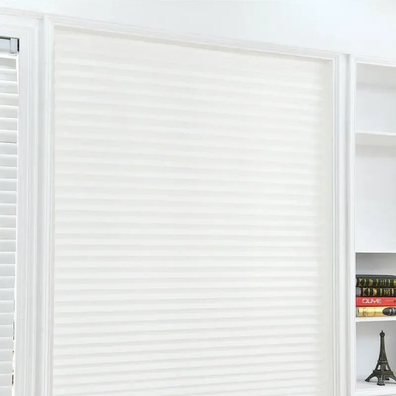 DualShade Honeycomb Window Blind