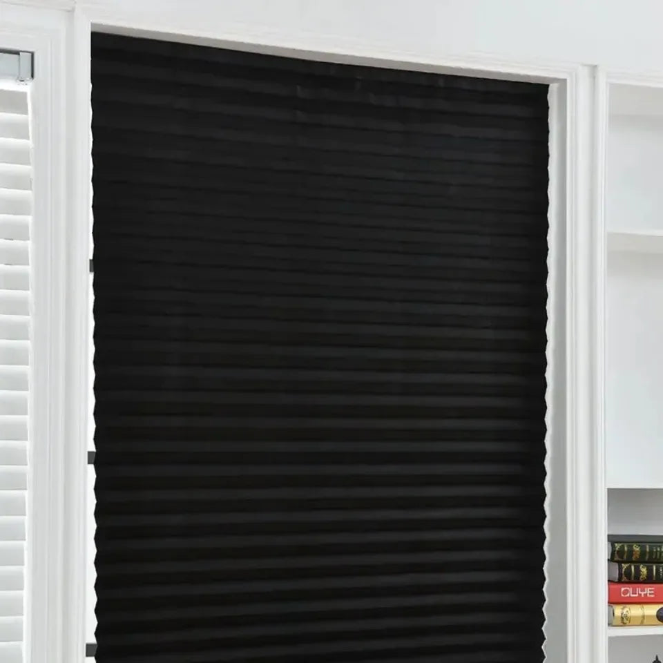 DualShade Honeycomb Window Blind